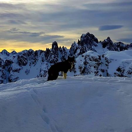 Appartamento Daniela Dolomiti. Auronzo di Cadore Exterior foto